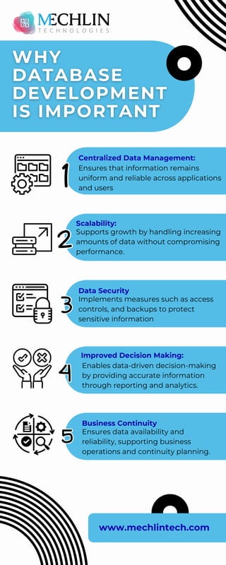 Why Database Development is Important.pdf