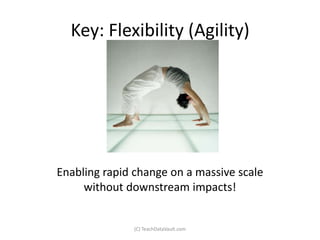 Key: Flexibility (Agility)




Enabling rapid change on a massive scale
     without downstream impacts!


               (C) TeachDataVault.com
 
