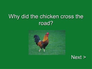 Why did the chicken cross the road? Next > 