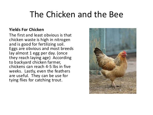 why did the chicken cross the road