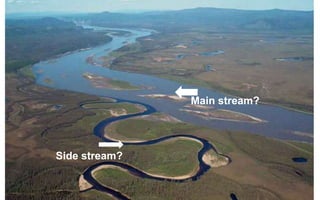 Main stream?
Side stream?
Source: PEDRR
 