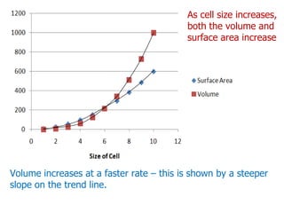 As cell size increases, both the volume and surface area increaseVolume increases at a faster rate – this is shown by a steeper slope on the trend line.