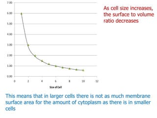 As cell size increases, the surface to volume ratio decreasesThis means that in larger cells there is not as much membrane surface area for the amount of cytoplasm as there is in smaller cells