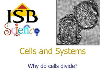 Cells and SystemsWhy do cells divide? 