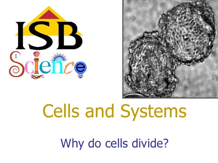 why do cells divide why do cells divide