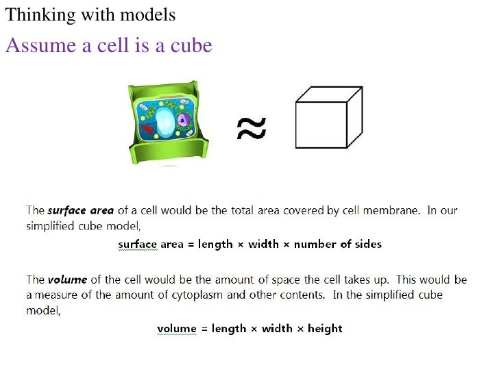 why do cells divide