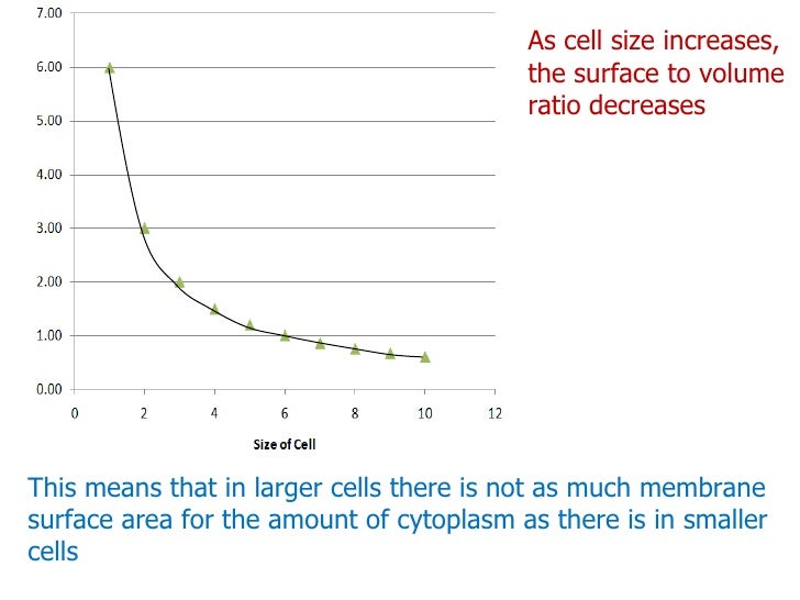 why do cells divide as cell size increases the