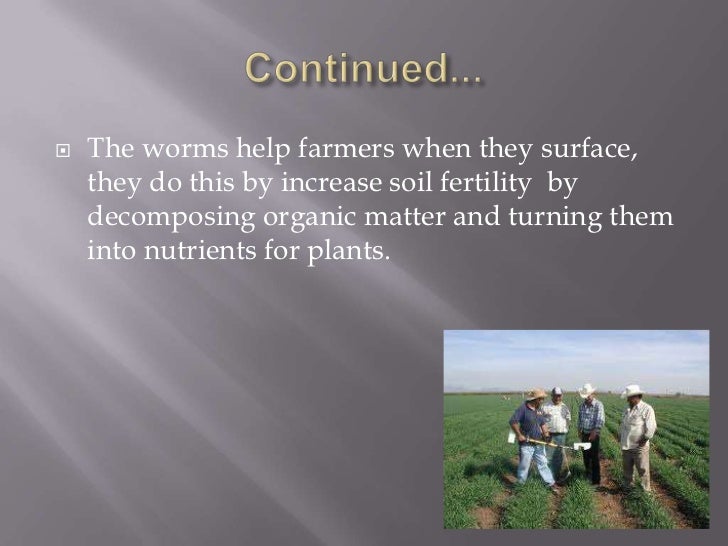 Why do earthworms come out of the soil