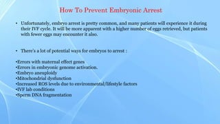 Understanding and Preventing Embryo Developmental Arrest in IVF ...