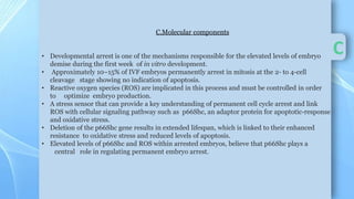 Understanding and Preventing Embryo Developmental Arrest in IVF ...