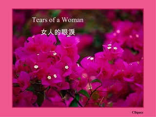 Tears of a Woman
  女人的眼淚




                   Cliquez
 
