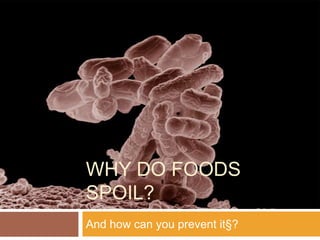 WHY DO FOODS
SPOIL?
And how can you prevent it§?
 