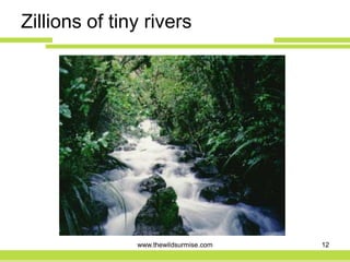 Zillions of tiny rivers




               www.thewildsurmise.com   12
 