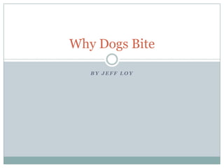 Why Dogs Bite
BY JEFF LOY

 