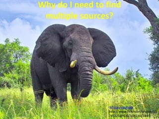 Why do I need to find multiple sources? 'African elephant' http://www.flickr.com/photos/15745225@N00/3581366564 