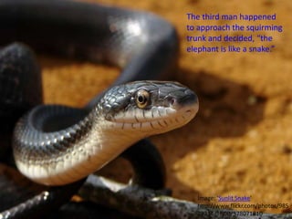 The third man happened to approach the squirming trunk and decided, “the elephant is like a snake.”Image: 'Sunlit Snake' http://www.flickr.com/photos/98528214@N00/578071810