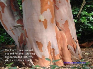 The fourth man reached out and felt the sturdy leg and concluded that, “the elephant is like a tree.” 'Natchez crape myrtle bark' http://www.flickr.com/photos/32454422@N00/354777837