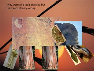 They were all a little bit right, but they were all very wrong.