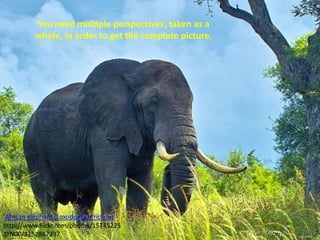 You need multiple perspectives, taken as a whole, in order to get the complete picture.'African elephant (Loxodonta africana)' http://www.flickr.com/photos/15745225@N00/3252847397