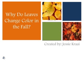 Why Do Leaves Change Color in the Fall? Created by: Jessie Kraai 