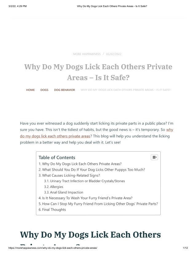 Why do my dogs lick each others private areas is it safe PDF