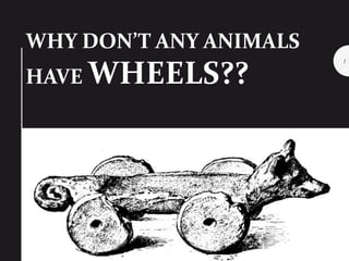 9/27/2015
1
WHY DON’T ANY ANIMALS
HAVE WHEELS??
 