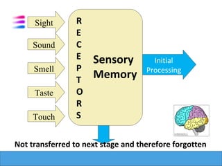 Sight       R
                 E
     Sound       C
                 E   Sensory          Initial
     Smell       P                  Processing
                 T   Memory
     Taste       O
                 R
     Touch       S

Not transferred to next stage and therefore forgotten
 