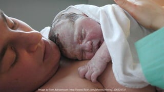 Image	
  by	
  Tom	
  Adriaenssen	
  	
  h"p://www.ﬂickr.com/photos/inferis/110652572/	
  
 