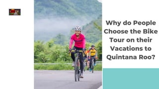 Why do People
Choose the Bike
Tour on their
Vacations to
Quintana Roo?
 