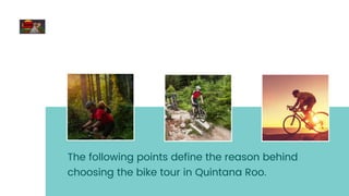 The following points define the reason behind
choosing the bike tour in Quintana Roo.
 