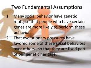 Two Fundamental Assumptions
1. Many social behavior have genetic
   roots, so that people who have certain
   genes are more likely to perform these
   behavior.
2. That evolutionary pressures have
   favored some of these social behaviors
   over others , so that they are fixed part
   of our genetic heritage.
 