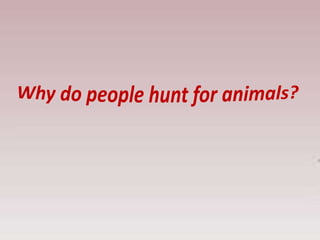 Why do people hunt for animals? | PPT