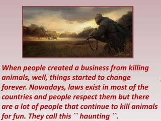 When people created a business from killing
animals, well, things started to change
forever. Nowadays, laws exist in most of the
countries and people respect them but there
are a lot of people that continue to kill animals
for fun. They call this `` haunting ``.