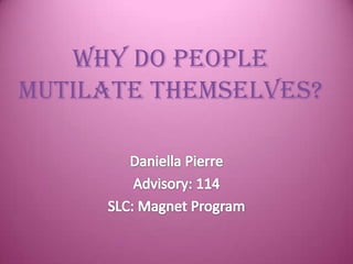 Why Do People Mutilate Themselves? Daniella Pierre Advisory: 114 SLC: Magnet Program 