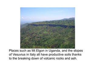 Places such as Mt Elgon in Uganda, and the slopes of Vesuvius in Italy all have productive soils thanks to the breaking down of volcanic rocks and ash.