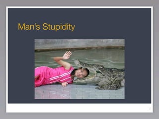 Man’s Stupidity




                  7
 