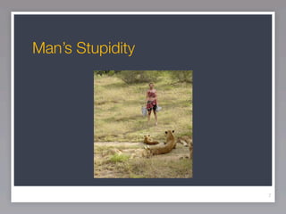 Man’s Stupidity




                  7
 