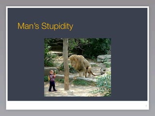 Man’s Stupidity




                  7
 