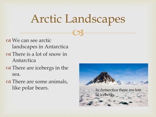 
Arctic Landscapes
 We can see arctic
landscapes in Antarctica
 There is a lot of snow in
Antarctica
 There are iceber...