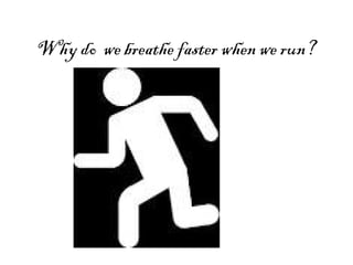 Why do we breathe faster when we run?
 