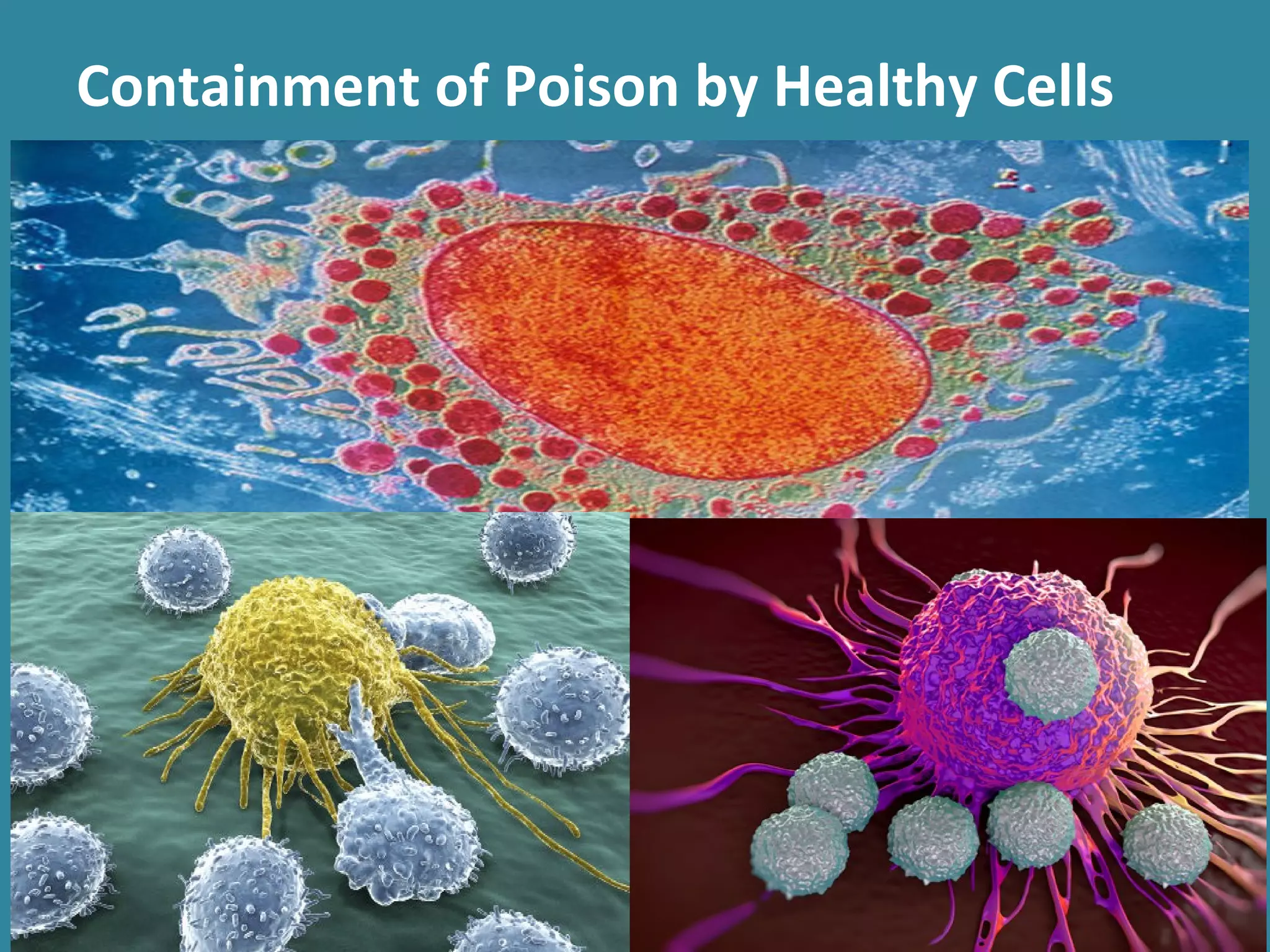 Containment of Poison by Healthy Cells
 