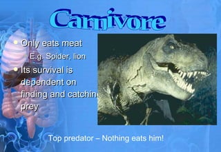 Only eats meat E.g. Spider, lion Its survival is dependent on finding and catching prey Top predator – Nothing eats him! Carnivore 