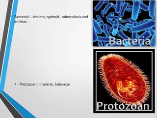 • Bacterial :- cholera ,typhoid , tuberculosis and
anthrax .
• Protozoan :- malaria , kala-azar
 