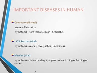 IMPORTANT DISEASES IN HUMAN
Common cold (viral)
cause – Rhino virus
symptoms – sore throat , cough , headache.
Chicken pox (viral)
symptoms – rashes, fever, aches , uneasiness.
Measles (viral)
symptoms –red and watery eye, pink rashes, itching or burning or
rashes.
 