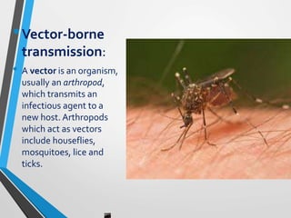 •Vector-borne
transmission:
• A vector is an organism,
usually an arthropod,
which transmits an
infectious agent to a
new host. Arthropods
which act as vectors
include houseflies,
mosquitoes, lice and
ticks.
 