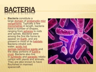 BACTERIA
 Bacteria constitute a
large domain of prokaryotic micr
oorganisms. Typically a few
micrometres in length, bacte...