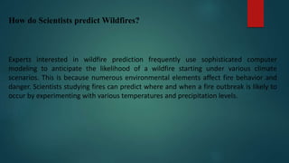 How do Scientists predict Wildfires?
Experts interested in wildfire prediction frequently use sophisticated computer
modeling to anticipate the likelihood of a wildfire starting under various climate
scenarios. This is because numerous environmental elements affect fire behavior and
danger. Scientists studying fires can predict where and when a fire outbreak is likely to
occur by experimenting with various temperatures and precipitation levels.
 