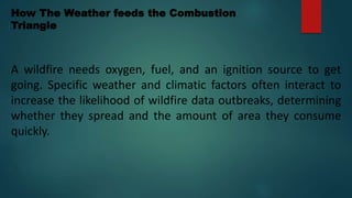How The Weather feeds the Combustion
Triangle
A wildfire needs oxygen, fuel, and an ignition source to get
going. Specific weather and climatic factors often interact to
increase the likelihood of wildfire data outbreaks, determining
whether they spread and the amount of area they consume
quickly.
 