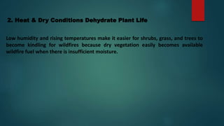 2. Heat & Dry Conditions Dehydrate Plant Life
Low humidity and rising temperatures make it easier for shrubs, grass, and trees to
become kindling for wildfires because dry vegetation easily becomes available
wildfire fuel when there is insufficient moisture.
 