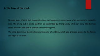 4. The force of the wind
Stronger gusts of wind that change directions can happen more commonly when atmospheric instability
rises. The drying out of plants can then be accelerated by strong winds, which can carry little burning
debris and start new fires or provide fuel to existing ones.
The wind determines the direction and intensity of wildfires, which also provides oxygen to the flames
and helps to fan them.
 